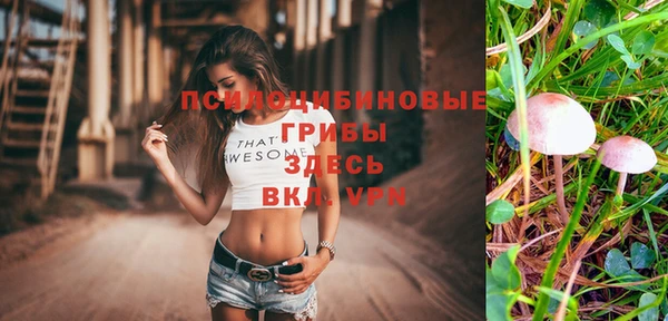 a pvp Алзамай