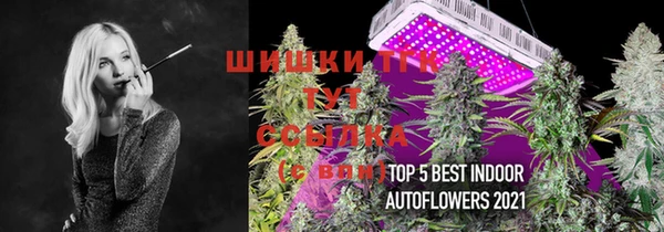 дурь Алексеевка