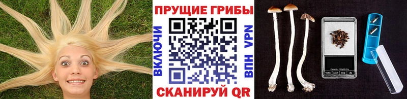 наркотики  Первоуральск  Галлюциногенные грибы MAGIC MUSHROOMS 